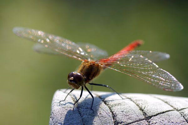 2012101512-44-49.JPG 2012101512 44 49