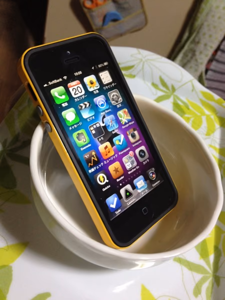 Iphone dish