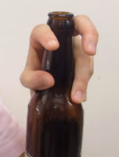Beer parrot